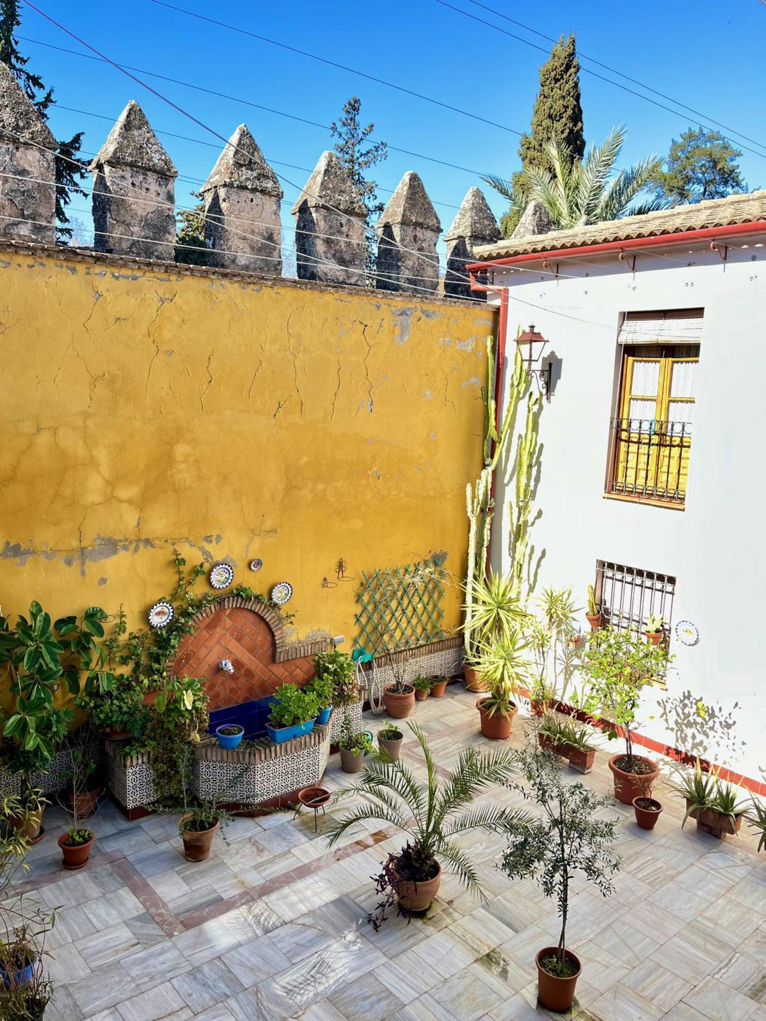 El Patio De Wallada 科爾多瓦 外观 照片