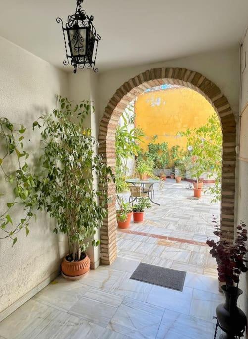 El Patio De Wallada 科爾多瓦 外观 照片