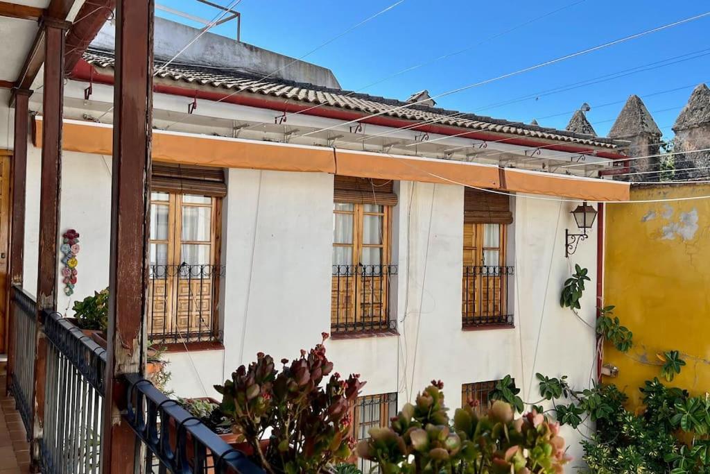 El Patio De Wallada 科爾多瓦 外观 照片