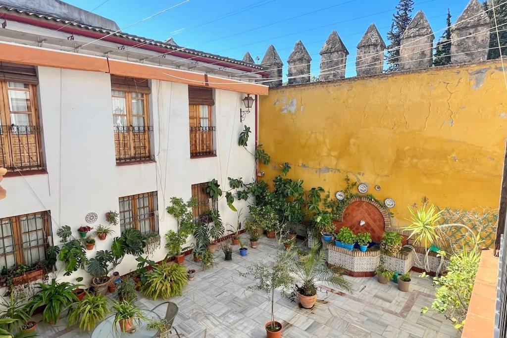 El Patio De Wallada 科爾多瓦 外观 照片